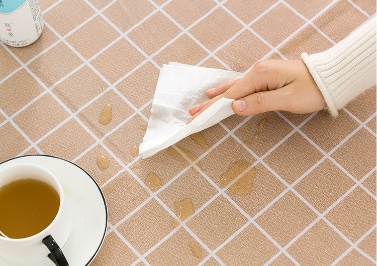 plastic table cloth7